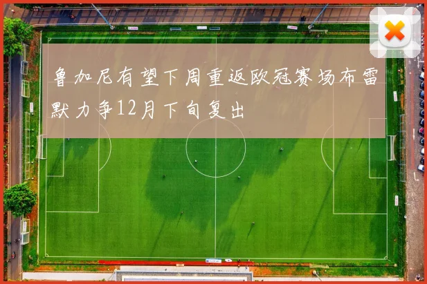 鲁加尼有望下周重返欧冠赛场布雷默力争12月下旬复出