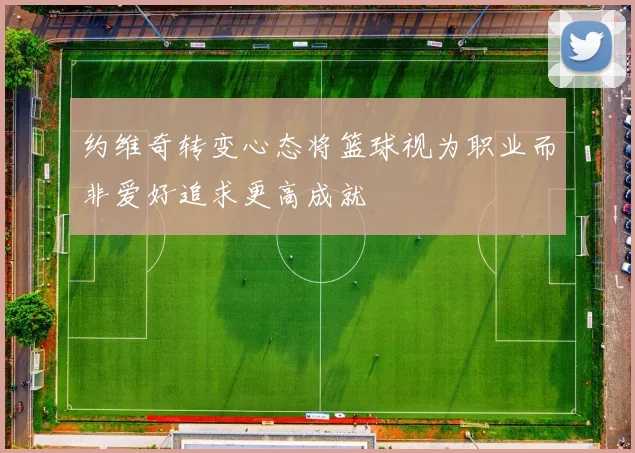 约维奇转变心态将篮球视为职业而非爱好追求更高成就