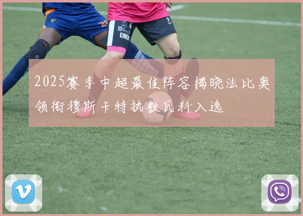 2025赛季中超最佳阵容揭晓法比奥领衔穆斯卡特执教瓦科入选