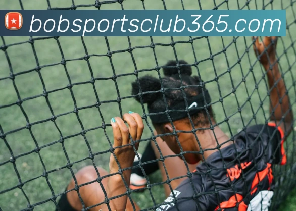 App Interface Preview